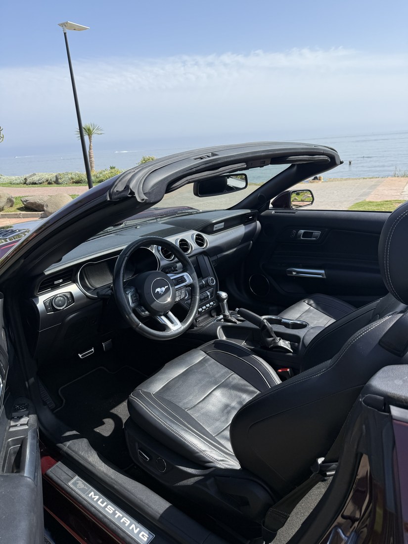 Alquiler de Ford Mustang Mach 1 en Marbella